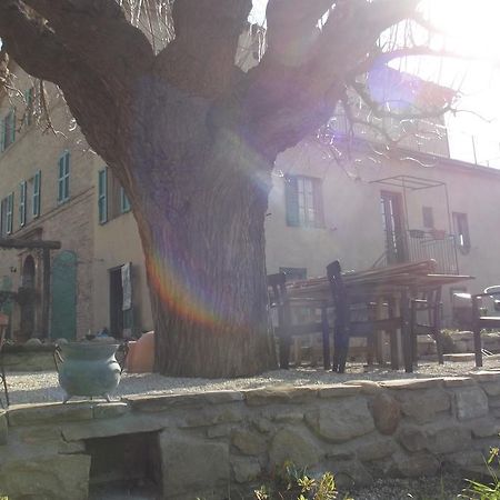 B&B Reillys Montecarotto Dış mekan fotoğraf