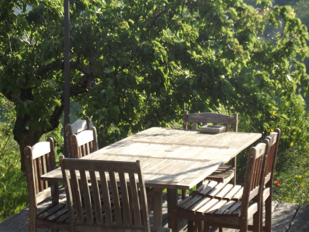 B&B Reillys Montecarotto Dış mekan fotoğraf