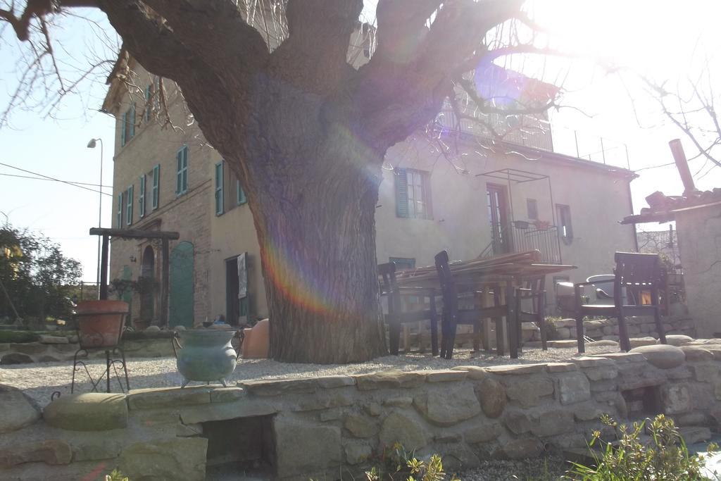 B&B Reillys Montecarotto Dış mekan fotoğraf